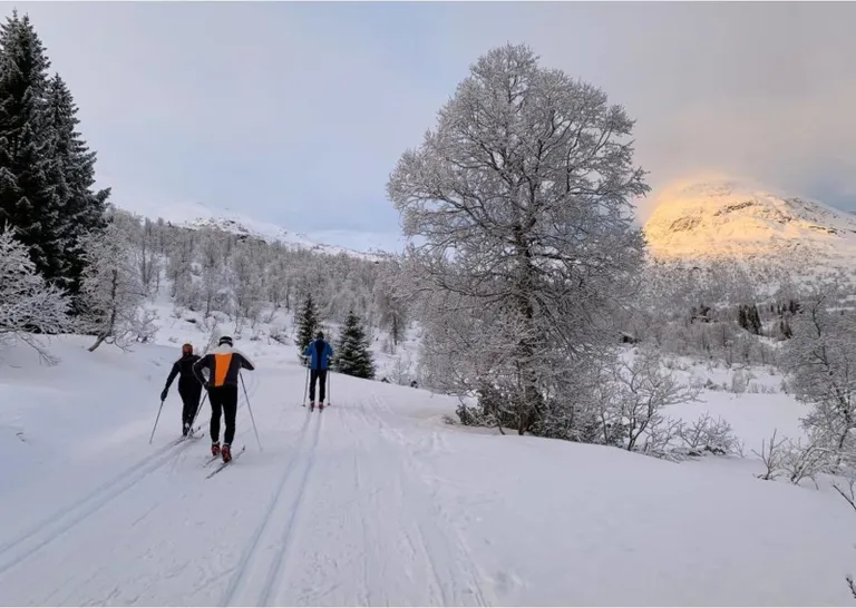 Langrennsløypar i vinterlandskap ved Hornindal Skisenter — Nordfjord og Sunnmøre